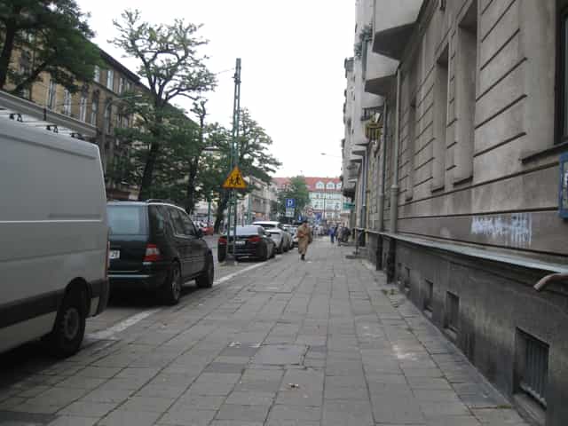 mięso z żaby 